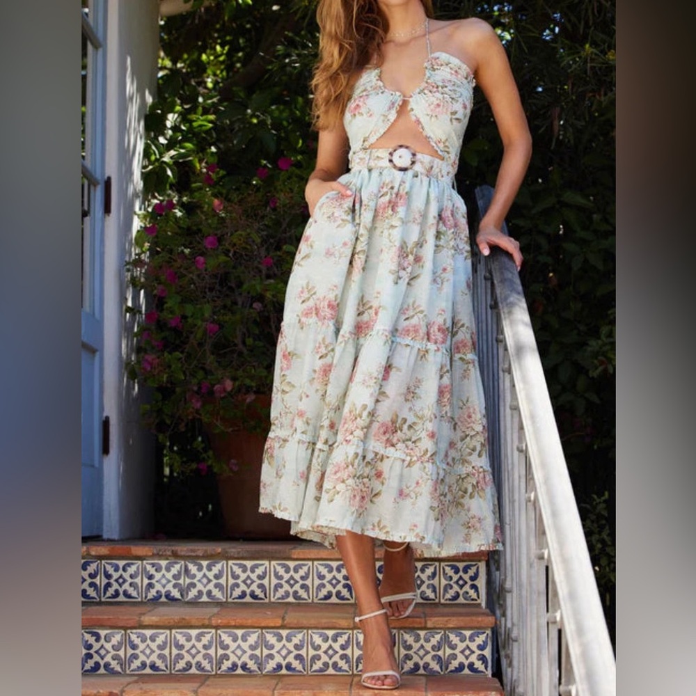 V. Chapman Penny Midi Dress Tapestry Rose size 4